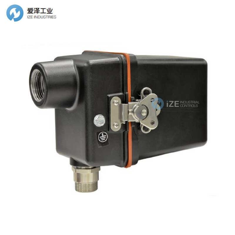C·E·SRL火焰檢測器65UV5-1004ECEX