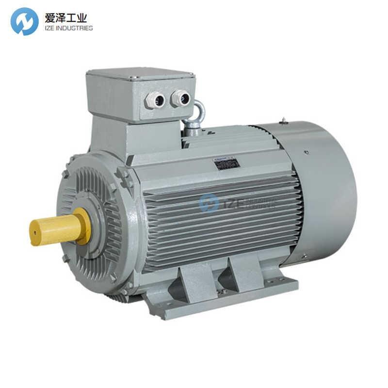 AC-MOTOREN電機(jī)FCM 225 S 4/PHE