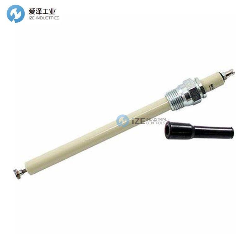 MAXON點火棒1081870