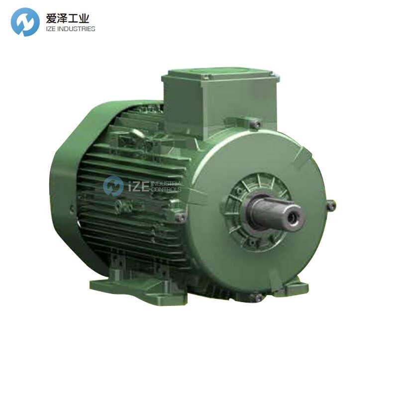 TEE電機(jī)Q3HFC100L4D-40H