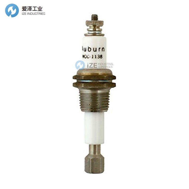 AUBURN電極液位計(jì)WCC-1138LT